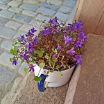 Kranich - Stilvolles Ferien-apartment Am Naturschutzgebiet Dosenmoor Negenharrie