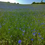 Kranich - Stilvolles Ferien-apartment Am Naturschutzgebiet Dosenmoor *