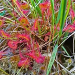 Kranich - Stilvolles Ferien-apartment Am Naturschutzgebiet Dosenmoor Διαμέρισμα Negenharrie