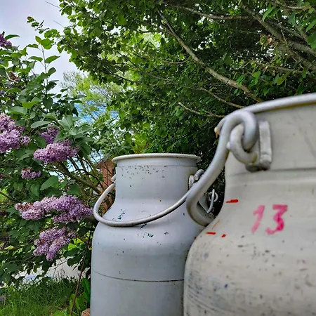 דירה Kranich - Stilvolles Ferien-apartment Am Naturschutzgebiet Dosenmoor *