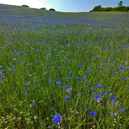 Kranich - Stilvolles Ferien-apartment Am Naturschutzgebiet Dosenmoor *