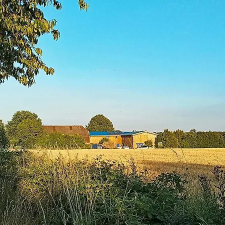 Kranich - Stilvolles Ferien-apartment Am Naturschutzgebiet Dosenmoor Negenharrie