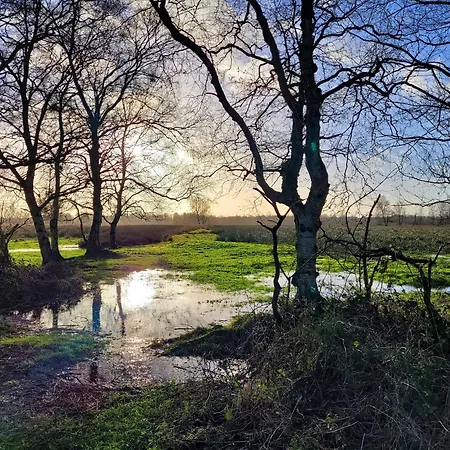 דירה Kranich - Stilvolles Ferien-apartment Am Naturschutzgebiet Dosenmoor