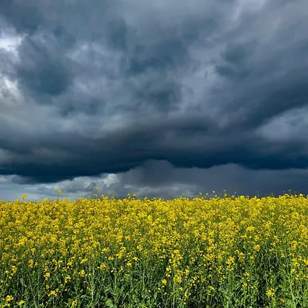 Kranich - Stilvolles Ferien-apartment Am Naturschutzgebiet Dosenmoor דירה *