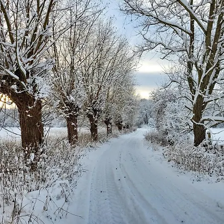 דירה Kranich - Stilvolles Ferien-apartment Am Naturschutzgebiet Dosenmoor *
