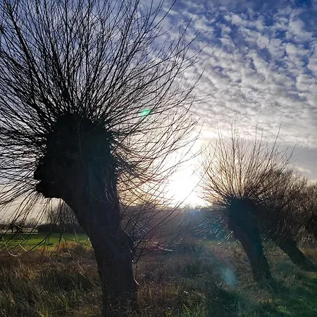 Kranich - Stilvolles Ferien-apartment Am Naturschutzgebiet Dosenmoor Negenharrie
