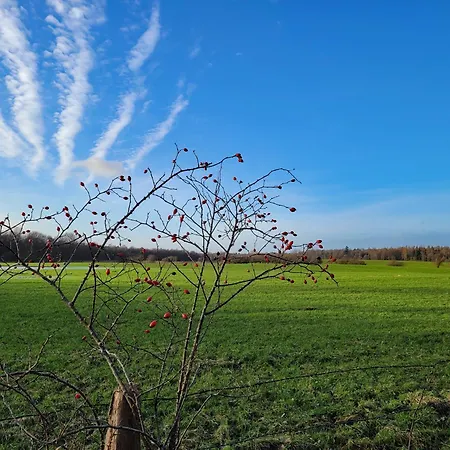 公寓 Kranich - Stilvolles Ferien-apartment Am Naturschutzgebiet Dosenmoor