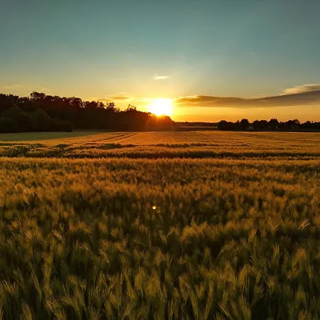 Kranich - Stilvolles Ferien-apartment Am Naturschutzgebiet Dosenmoor דירה