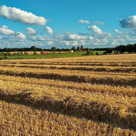 Kranich - Stilvolles Ferien-apartment Am Naturschutzgebiet Dosenmoor דירה Negenharrie