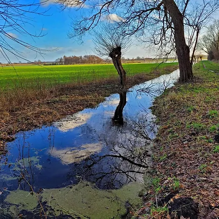 公寓 Kranich - Stilvolles Ferien-apartment Am Naturschutzgebiet Dosenmoor Negenharrie